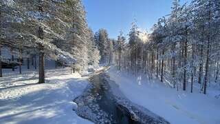 Фото Комплексы для отдыха с коттеджами/бунгало Lapiosalmi Wilderness Center г. Посио